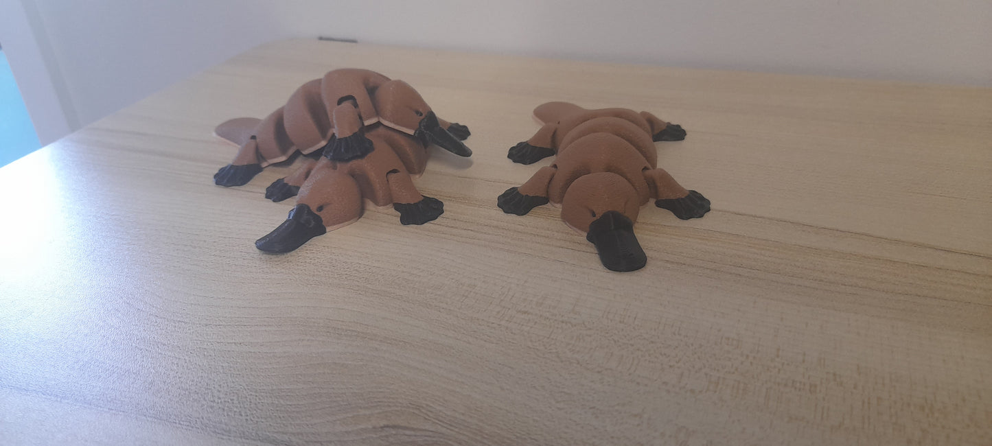 Platypus Fidget Toy