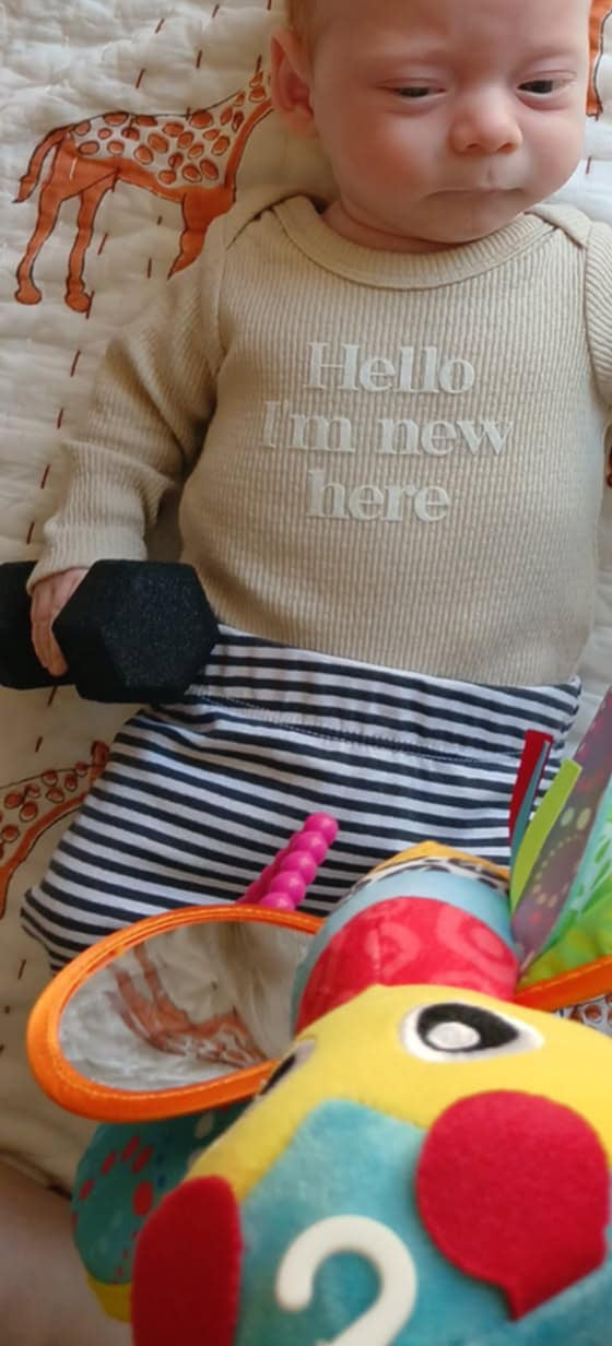 Dumbbell Baby Rattle