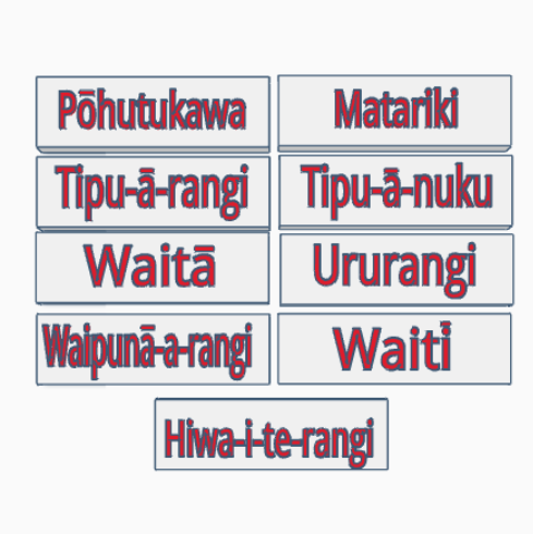 Matariki Theme Fondant Stamps