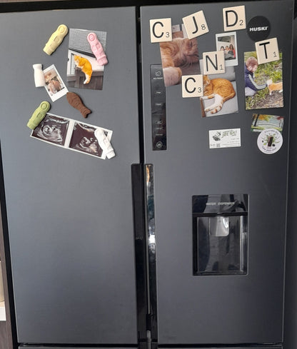 Kiwiana Lolly Fridge Magnets